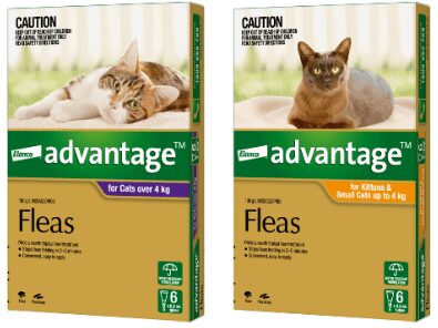 Advantage for cats and kittens